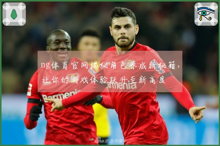 ng体育官网揭秘角色养成新秘籍，让你的游戏体验跃升至新高度