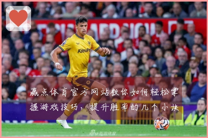 赢点体育官方网站教你如何轻松掌握游戏技巧，提升胜率的几个小诀窍